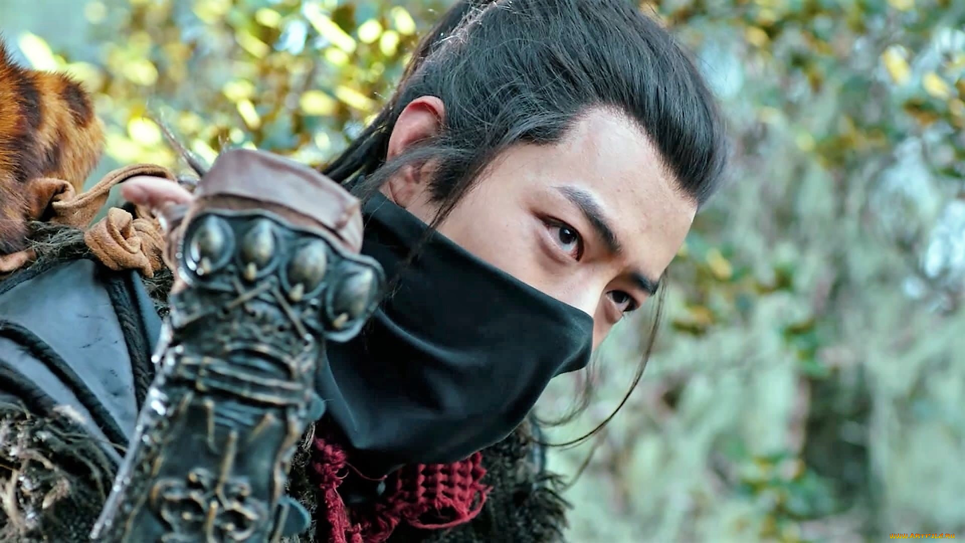  , the wolf, 